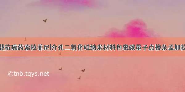 碳量子点负载抗癌药索拉菲尼|介孔二氧化硅纳米材料包裹碳量子点掺杂孟加拉玫瑰红光敏