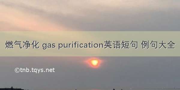 燃气净化 gas purification英语短句 例句大全