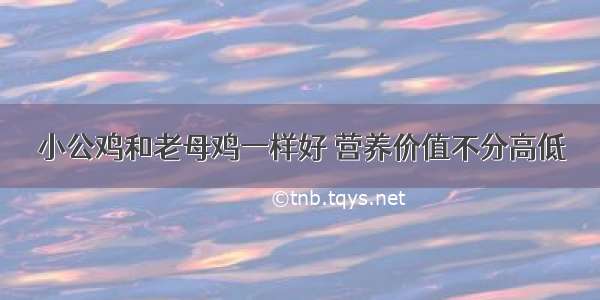 小公鸡和老母鸡一样好 营养价值不分高低