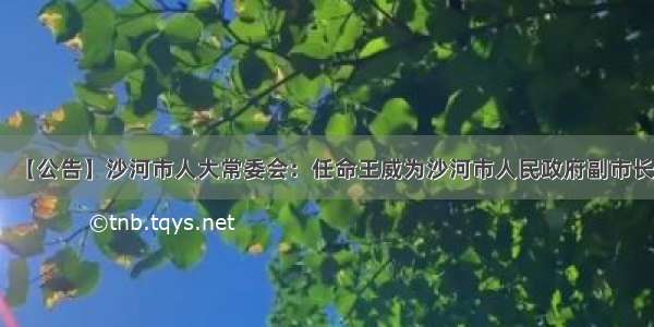 【公告】沙河市人大常委会：任命王威为沙河市人民政府副市长