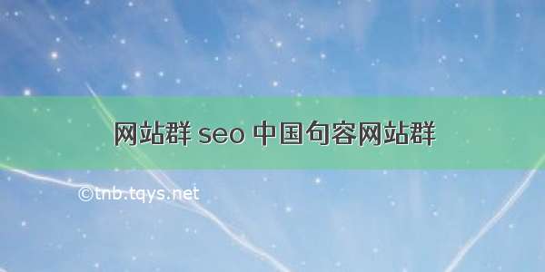 网站群 seo 中国句容网站群