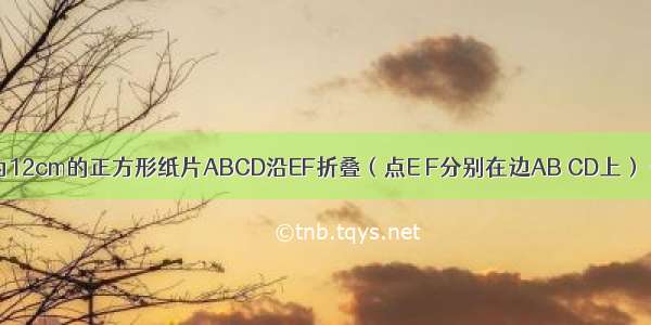 如图 将边长为12cm的正方形纸片ABCD沿EF折叠（点E F分别在边AB CD上） 使点B落在A