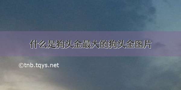 什么是狗头金最大的狗头金图片