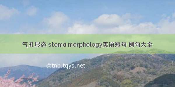 气孔形态 stoma morphology英语短句 例句大全