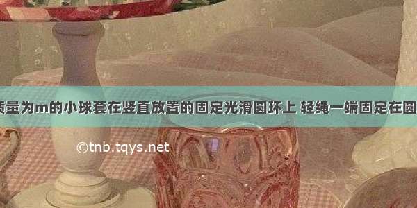 如图所示 质量为m的小球套在竖直放置的固定光滑圆环上 轻绳一端固定在圆环的顶点A 