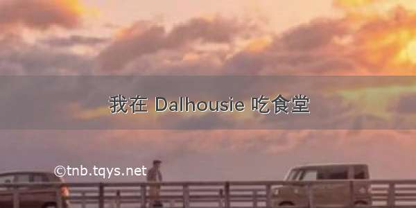 我在 Dalhousie 吃食堂