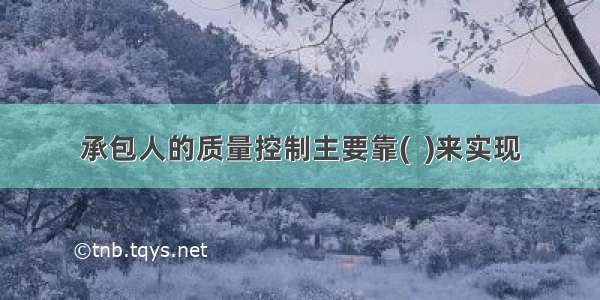 承包人的质量控制主要靠(  )来实现