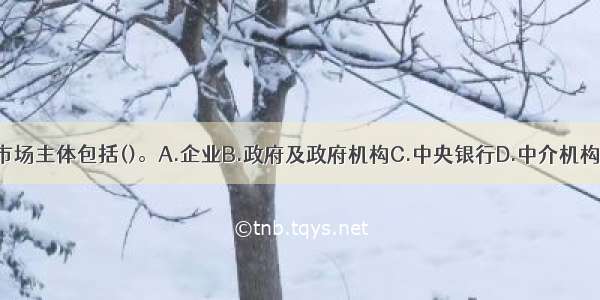 金融市场的市场主体包括()。A.企业B.政府及政府机构C.中央银行D.中介机构E.居民个人