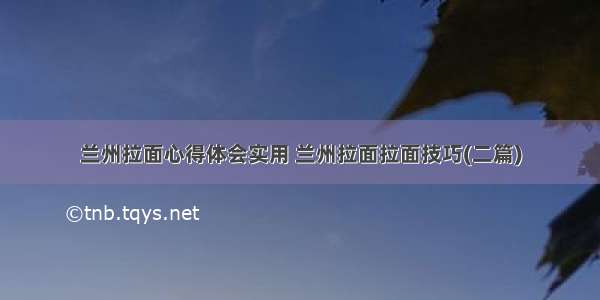 兰州拉面心得体会实用 兰州拉面拉面技巧(二篇)