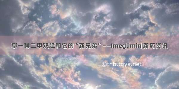 聊一聊二甲双胍和它的“新兄弟”——Imeglimin|新药资讯