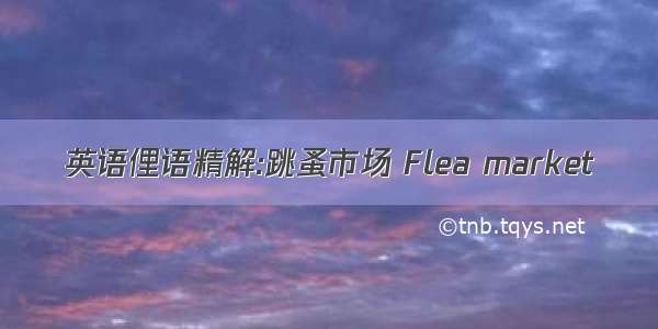 英语俚语精解:跳蚤市场 Flea market