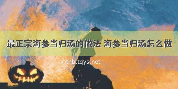 最正宗海参当归汤的做法 海参当归汤怎么做