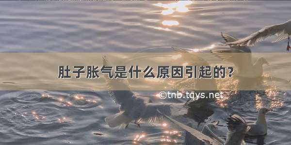 肚子胀气是什么原因引起的？