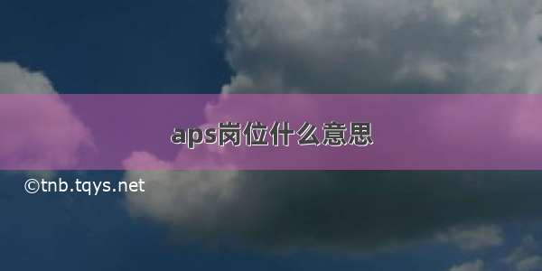 aps岗位什么意思