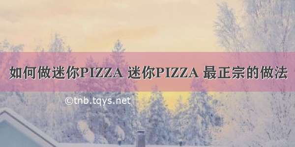 如何做迷你PIZZA 迷你PIZZA 最正宗的做法