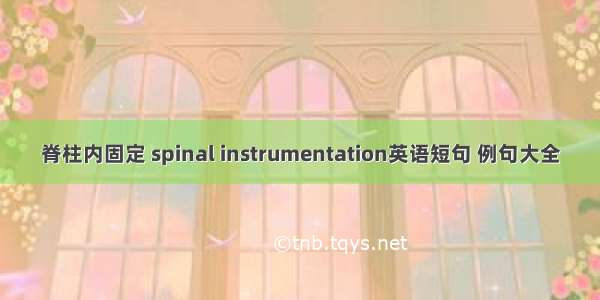 脊柱内固定 spinal instrumentation英语短句 例句大全