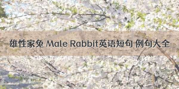 雄性家兔 Male Rabbit英语短句 例句大全