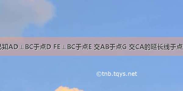 如图所示 已知AD⊥BC于点D FE⊥BC于点E 交AB于点G 交CA的延长线于点F 且∠1=∠F