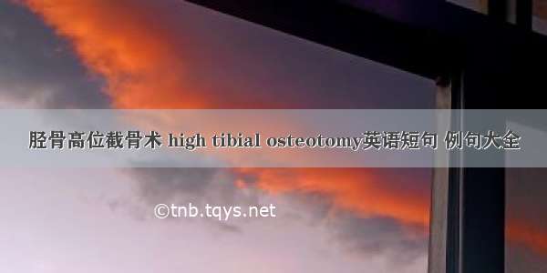 胫骨高位截骨术 high tibial osteotomy英语短句 例句大全