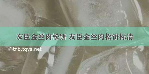 友臣金丝肉松饼 友臣金丝肉松饼标清