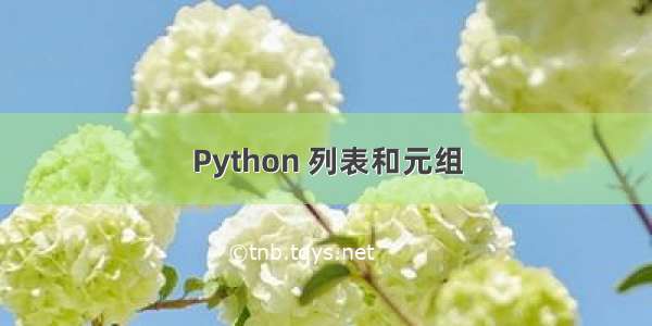 Python 列表和元组