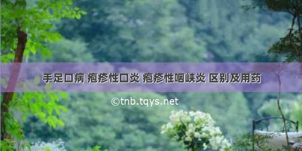 手足口病 疱疹性口炎 疱疹性咽峡炎 区别及用药