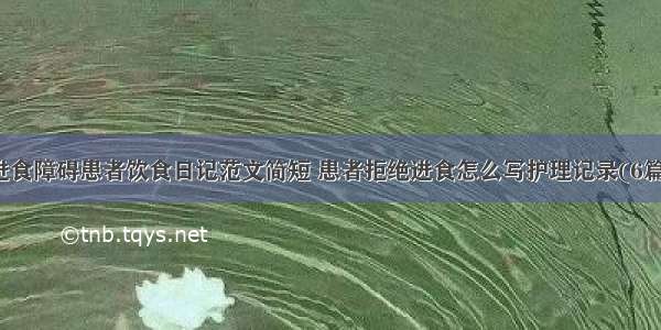 进食障碍患者饮食日记范文简短 患者拒绝进食怎么写护理记录(6篇)