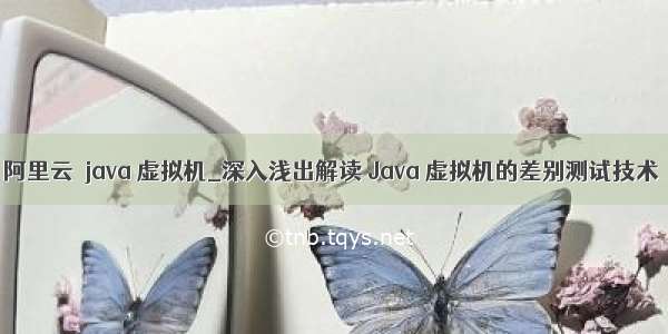 阿里云  java 虚拟机_深入浅出解读 Java 虚拟机的差别测试技术