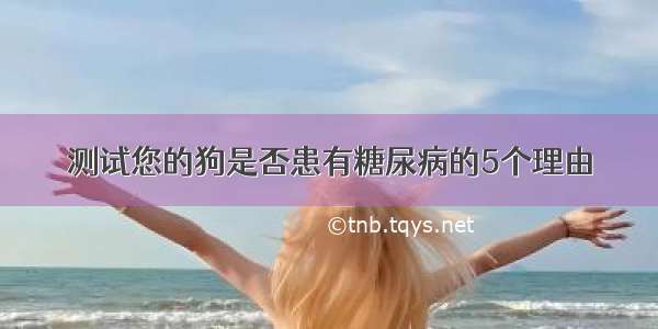 测试您的狗是否患有糖尿病的5个理由