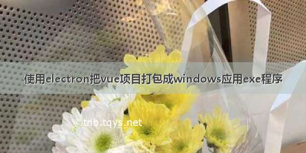 使用electron把vue项目打包成windows应用exe程序