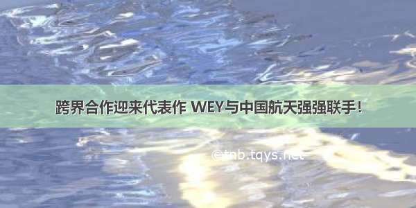 跨界合作迎来代表作 WEY与中国航天强强联手！