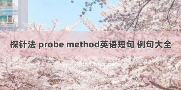 探针法 probe method英语短句 例句大全