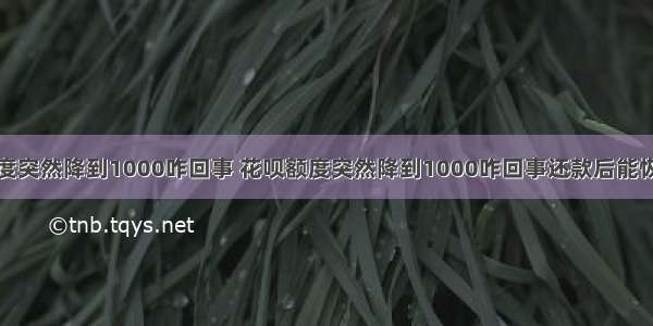 花呗额度突然降到1000咋回事 花呗额度突然降到1000咋回事还款后能恢复多少