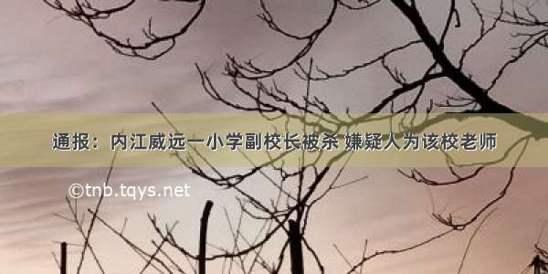 通报：内江威远一小学副校长被杀 嫌疑人为该校老师