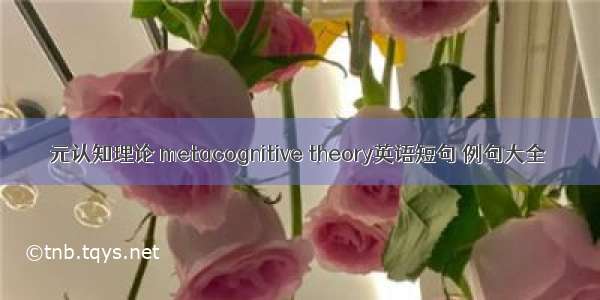 元认知理论 metacognitive theory英语短句 例句大全