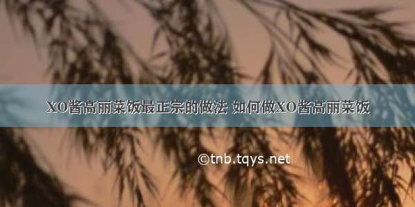 XO酱高丽菜饭最正宗的做法 如何做XO酱高丽菜饭