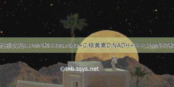 维生素B2的活性形式是A.FMN和FADB.NAD+C.核黄素D.NADH+H+E.FMNH2和FADH2ABCDE