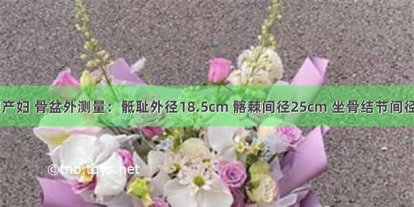 孕40周 初产妇 骨盆外测量：骶耻外径18.5cm 髂棘间径25cm 坐骨结节间径7.5cm 坐