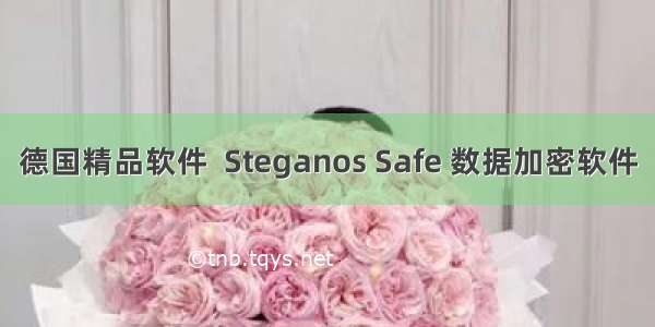 德国精品软件  Steganos Safe 数据加密软件