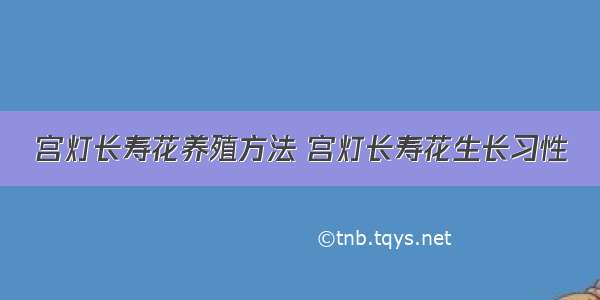 宫灯长寿花养殖方法 宫灯长寿花生长习性