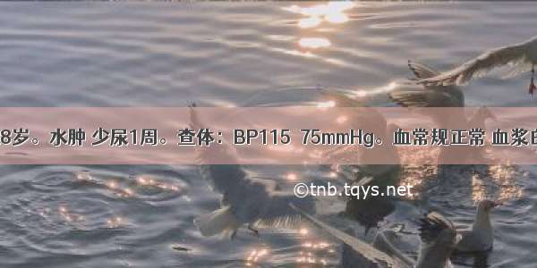 患者 女性 28岁。水肿 少尿1周。查体：BP115／75mmHg。血常规正常 血浆白蛋白23g