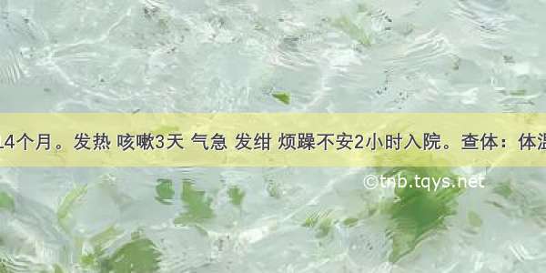 患儿男 14个月。发热 咳嗽3天 气急 发绀 烦躁不安2小时入院。查体：体温39.5℃ 