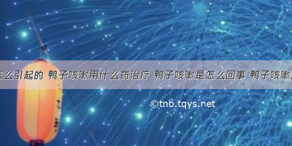 鸭子咳嗽怎么引起的 鸭子咳嗽用什么药治疗 鸭子咳嗽是怎么回事 鸭子咳嗽严重怎么治