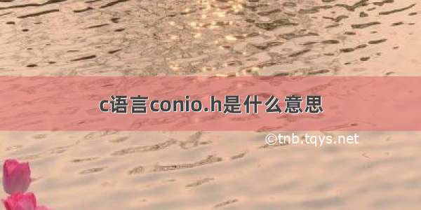 c语言conio.h是什么意思