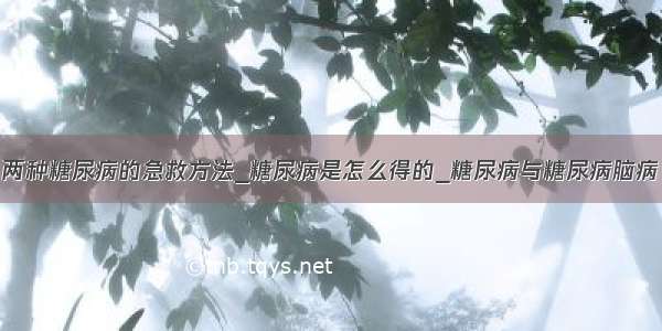 两种糖尿病的急救方法_糖尿病是怎么得的_糖尿病与糖尿病脑病