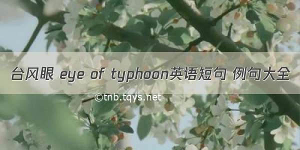 台风眼 eye of typhoon英语短句 例句大全