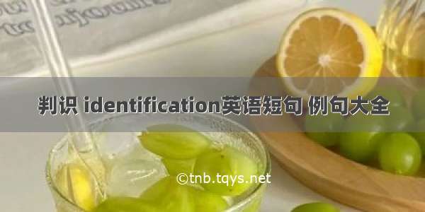 判识 identification英语短句 例句大全