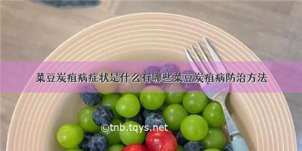 菜豆炭疽病症状是什么有哪些菜豆炭疽病防治方法