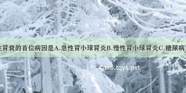 引起我国慢性肾衰的首位病因是A.急性肾小球肾炎B.慢性肾小球肾炎C.糖尿病肾病D.高血压