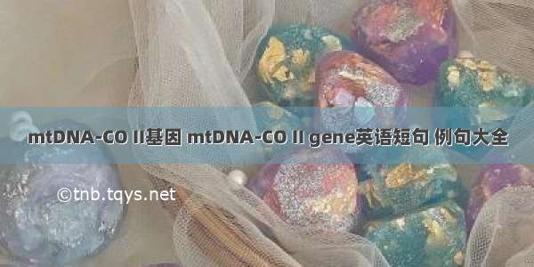 mtDNA-CO II基因 mtDNA-CO II gene英语短句 例句大全